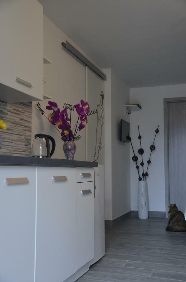 Apartments Lilly - Studio Rijeka Dış mekan fotoğraf