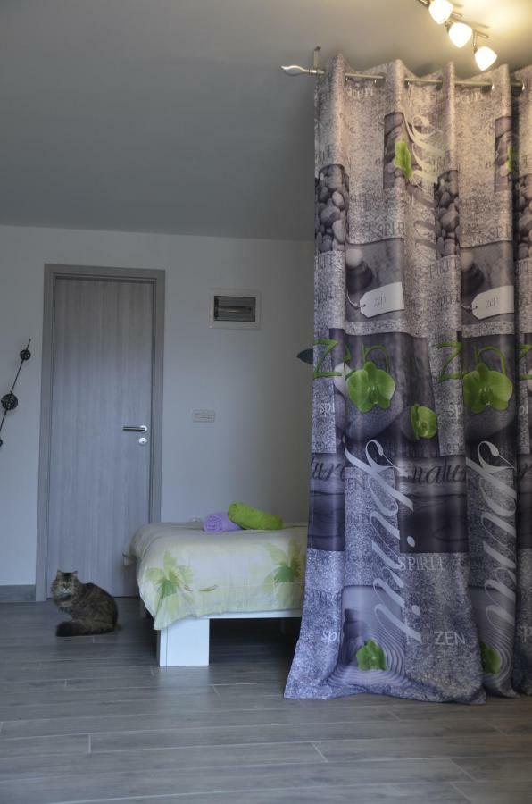 Apartments Lilly - Studio Rijeka Dış mekan fotoğraf